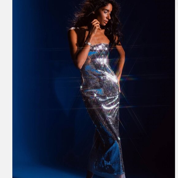 Zara Sequin Festive Strapless Midi Dress Organza Silver Metallic Size Small - Picture 7 of 13